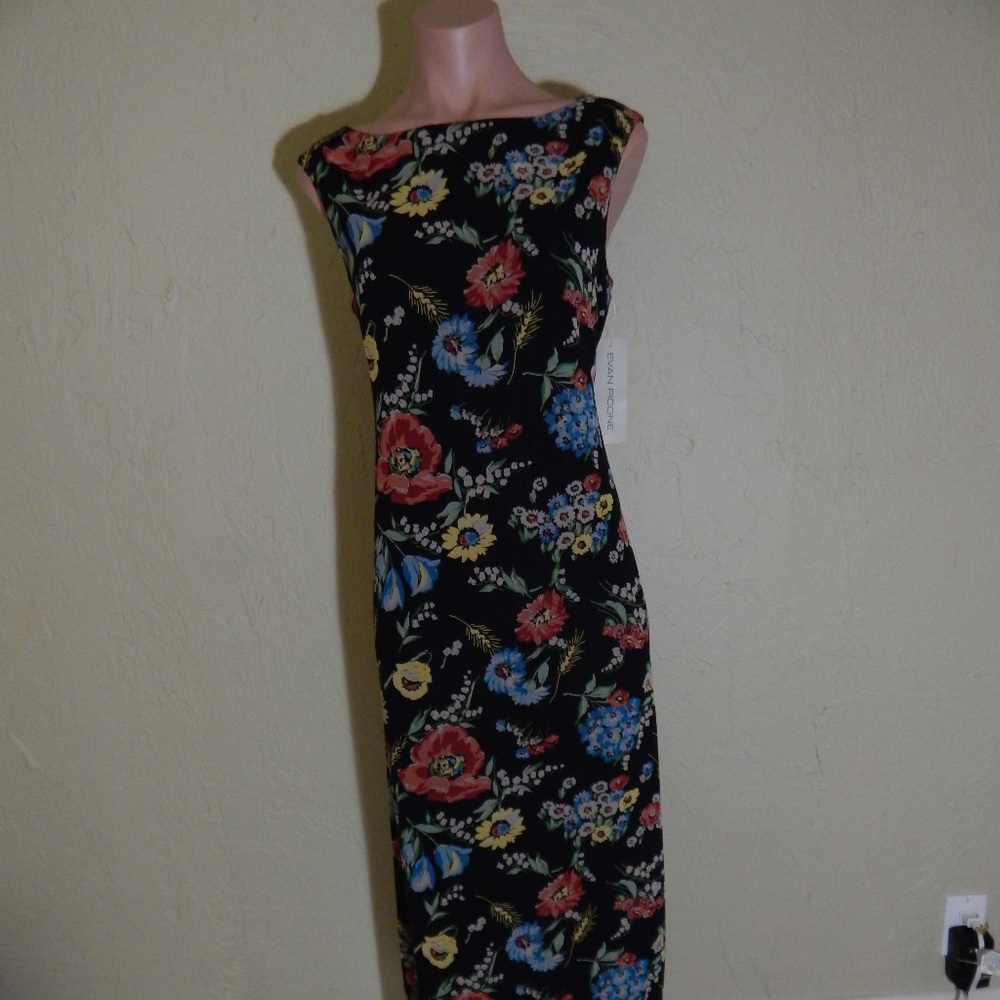NWT EVAN PICONE DRESS